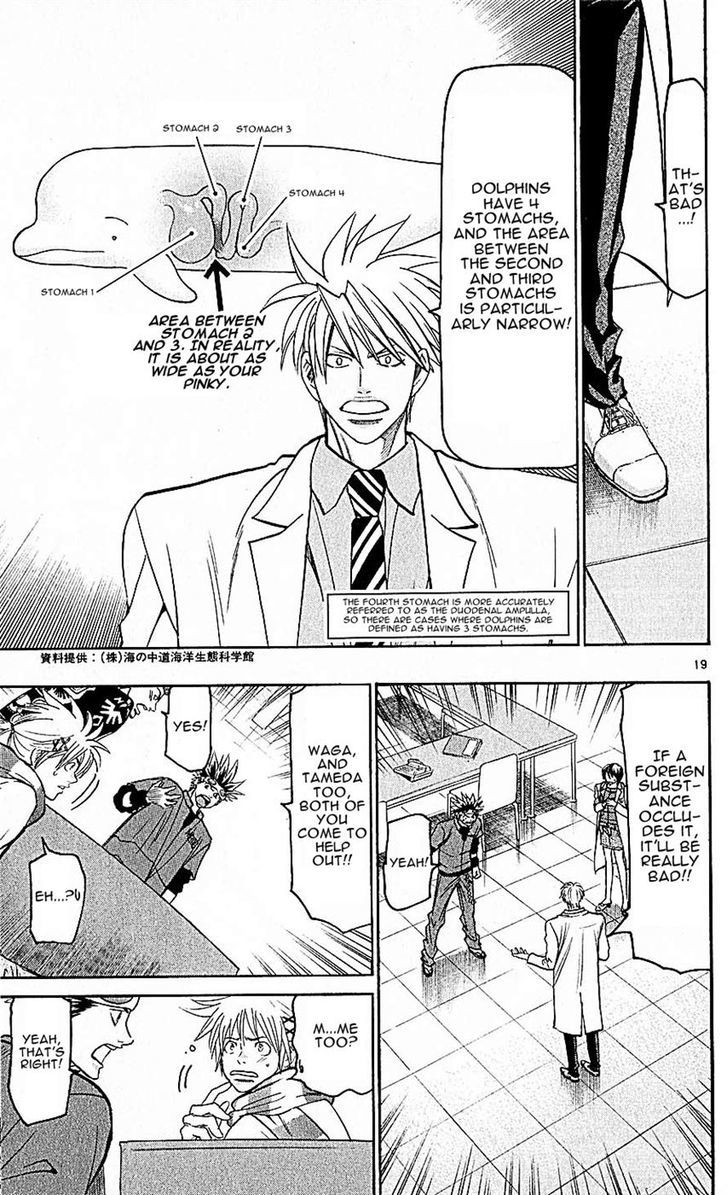 Wild Life Chapter 139 page 19 - Chapter 139 : Waga's Classmate