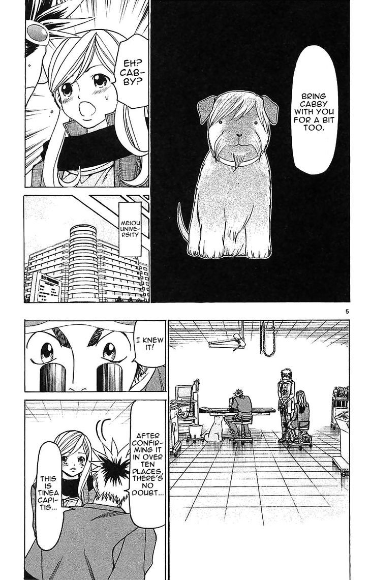 Wild Life Chapter 143 page 5 - Chapter 143 : The Hidden Hint