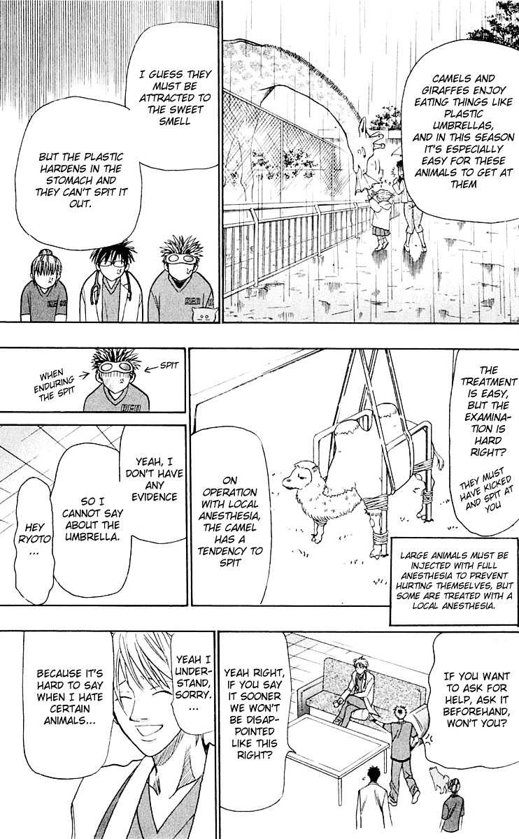 Wild Life Chapter 15 page 17 - Chapter 15 : Ryoutou and the Camel