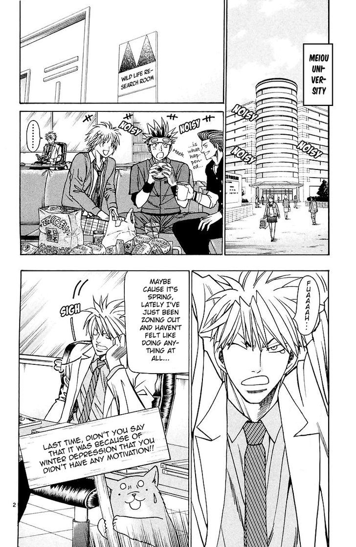 Wild Life Chapter 156 page 3 - Chapter 156 : Did you know about the Wallaroo?