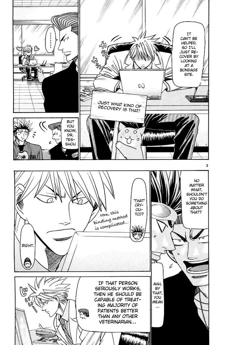 Wild Life Chapter 156 page 4 - Chapter 156 : Did you know about the Wallaroo?