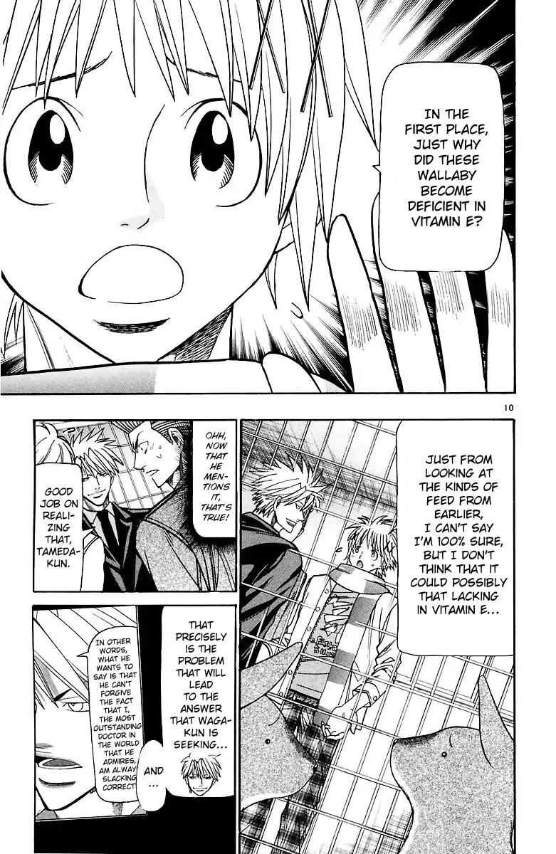 Wild Life Chapter 157 page 11 - Chapter 157: Waga's Answer, Ryouto's Answer