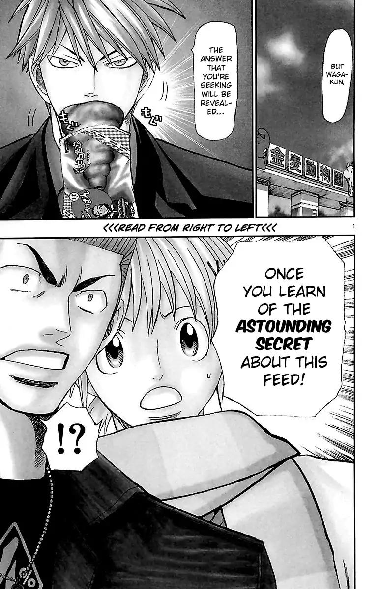 Wild Life Chapter 157 page 2 - Chapter 157: Waga's Answer, Ryouto's Answer