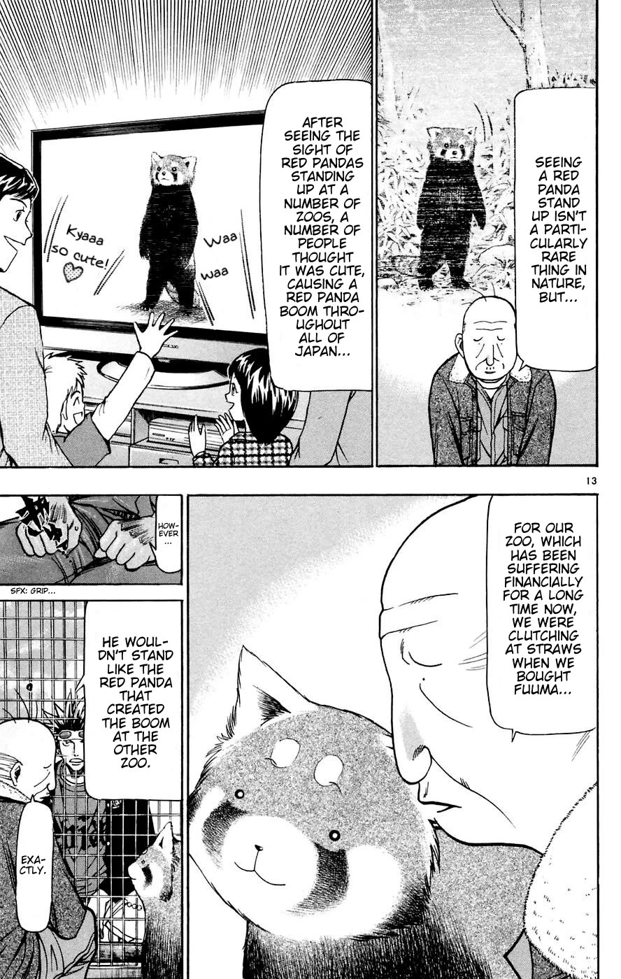 Wild Life Chapter 160 page 13 - Chapter 160: Azama's Decision