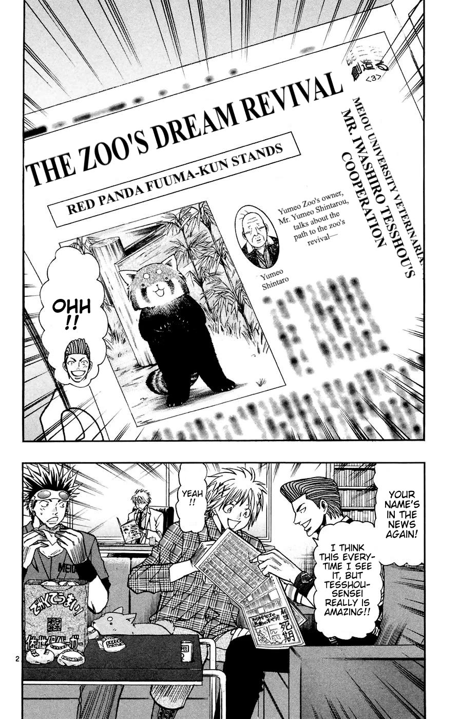 Wild Life Chapter 162 page 2 - Chapter 162: Kanebakari's Proposal