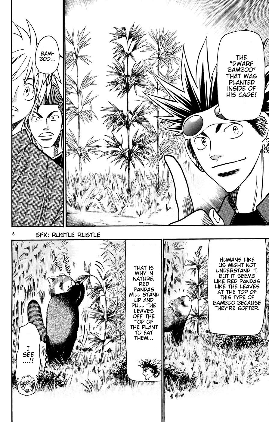 Wild Life Chapter 162 page 8 - Chapter 162: Kanebakari's Proposal