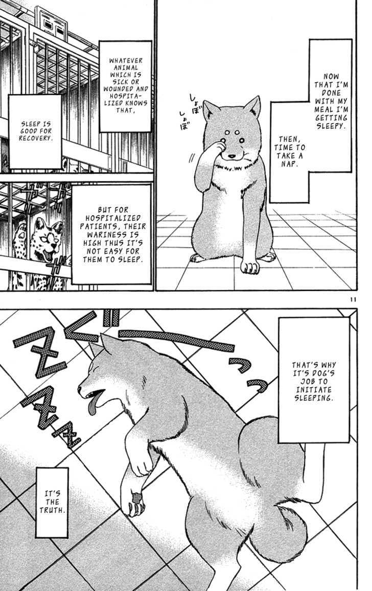 Wild Life Chapter 32 page 12 - Chapter 32 : Lion And Dog