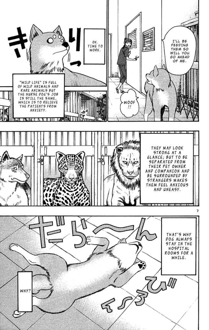 Wild Life Chapter 32 page 8 - Chapter 32 : Lion And Dog