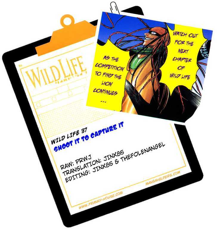Wild Life Chapter 37 page 23 - Chapter 37 : Shoot It To Capture It