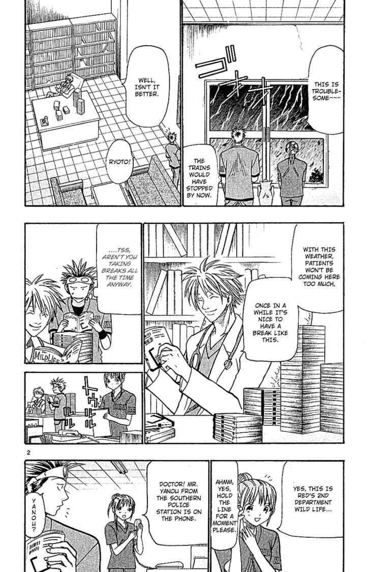 Wild Life Chapter 37 page 3 - Chapter 37 : Shoot It To Capture It