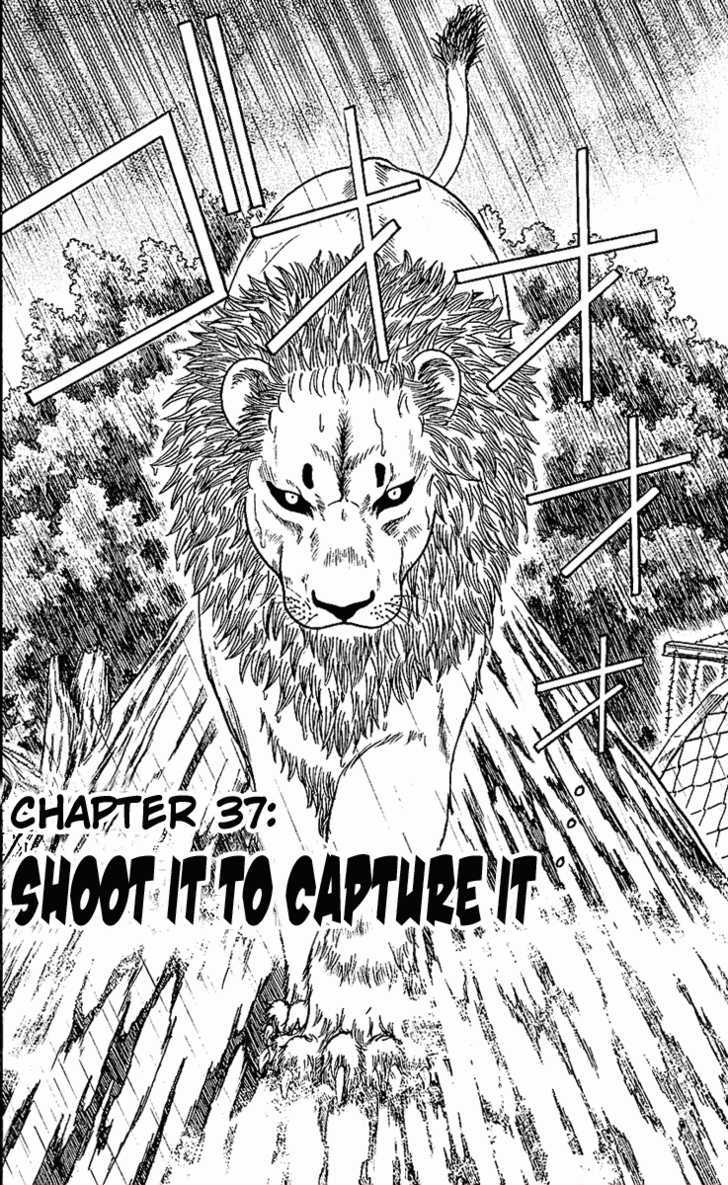 Wild Life Chapter 37 page 7 - Chapter 37 : Shoot It To Capture It