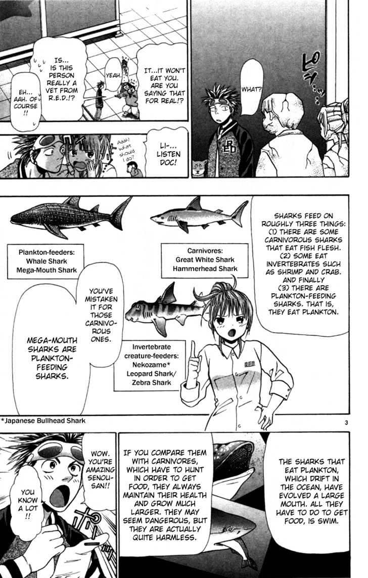 Wild Life Chapter 4 page 4 - Chapter 4 : University Of America