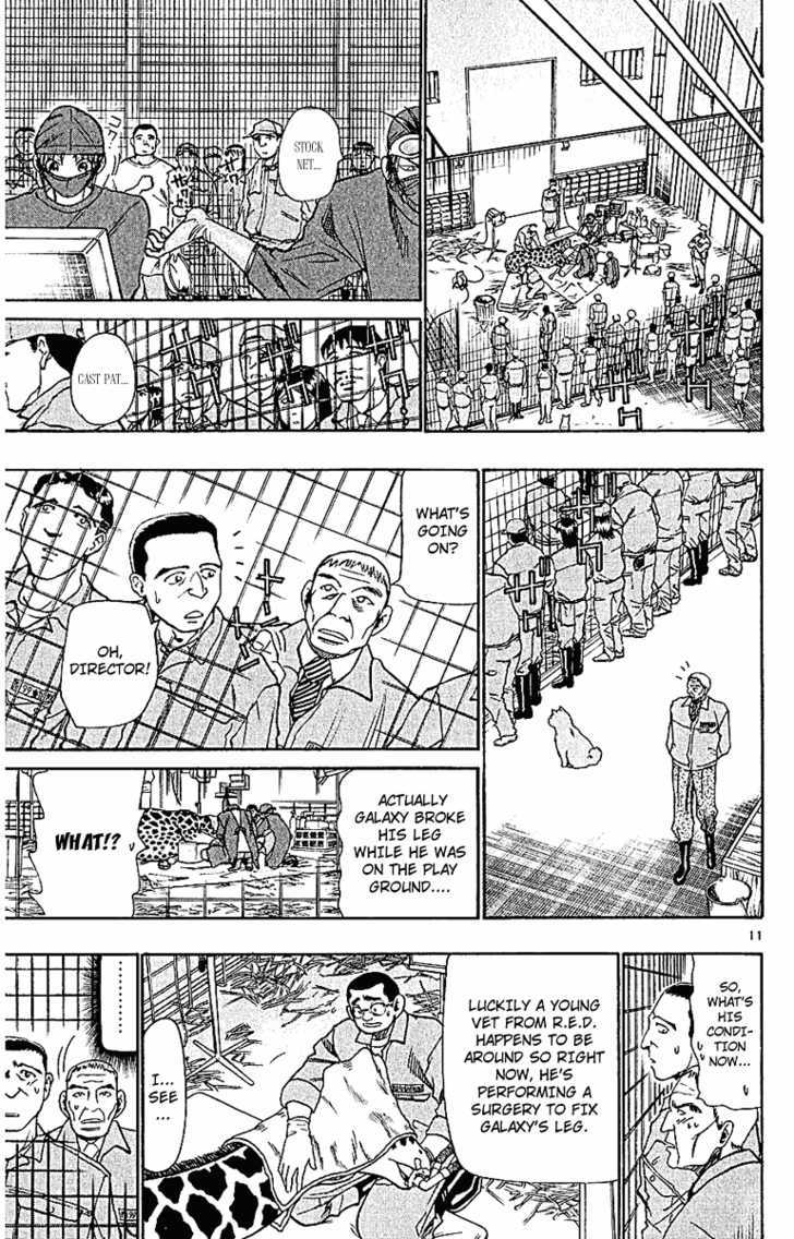 Wild Life Chapter 44 page 13 - Chapter 44 : The Young Giraffe "Galaxy"