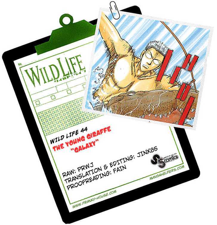 Wild Life Chapter 44 page 23 - Chapter 44 : The Young Giraffe "Galaxy"