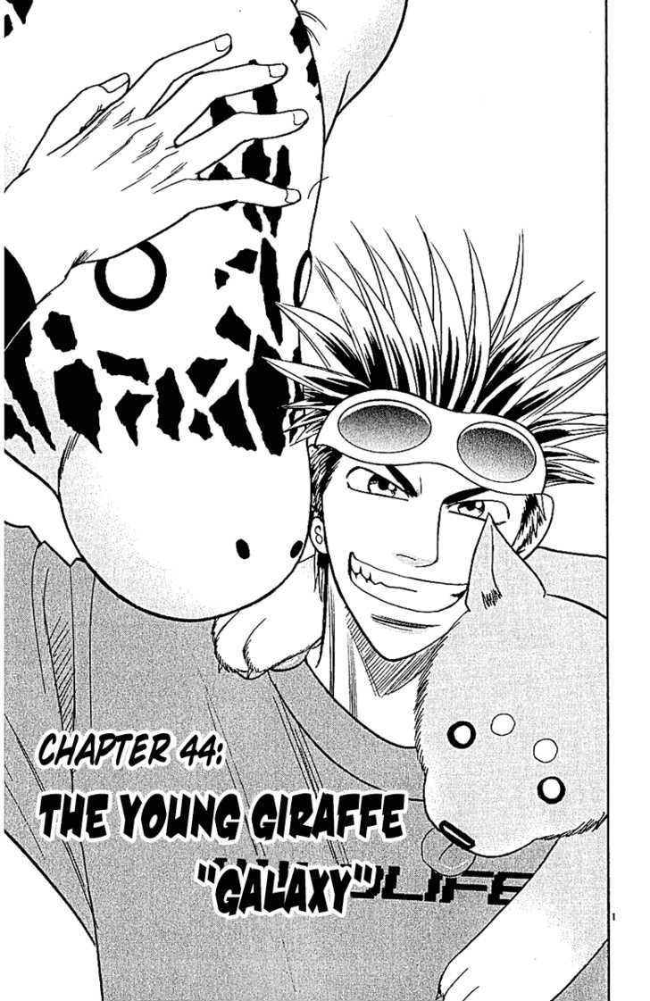 Wild Life Chapter 44 page 3 - Chapter 44 : The Young Giraffe "Galaxy"