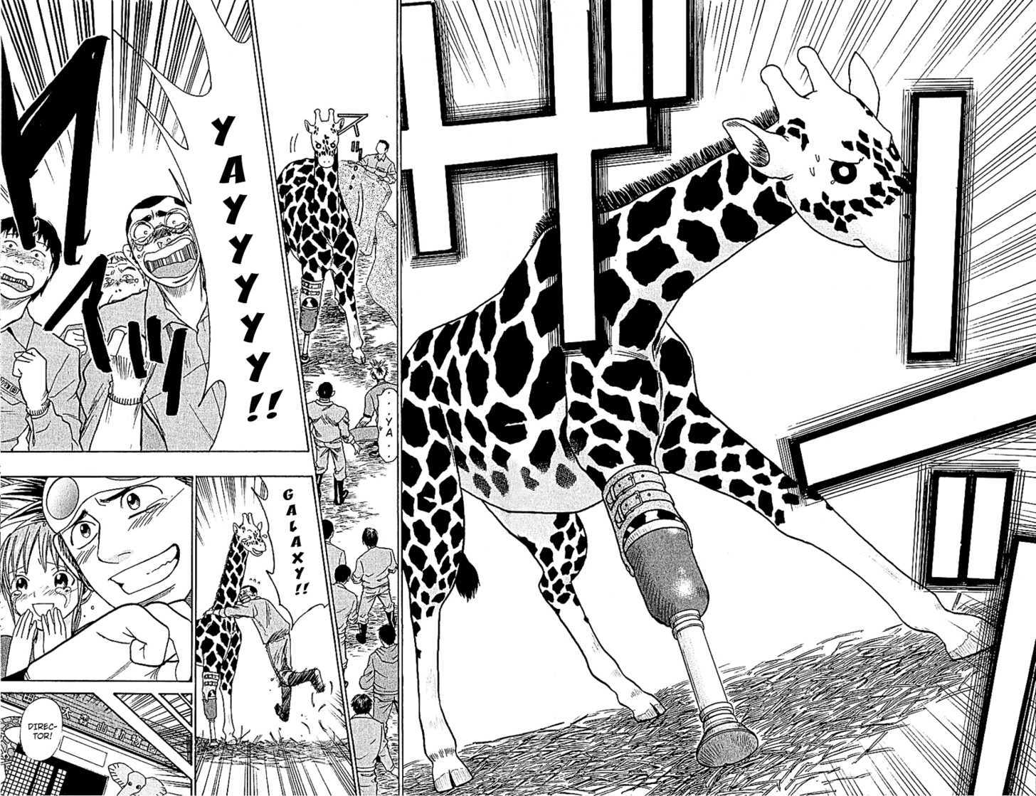 Wild Life Chapter 46 page 21 - Chapter 46 : The Will To Live