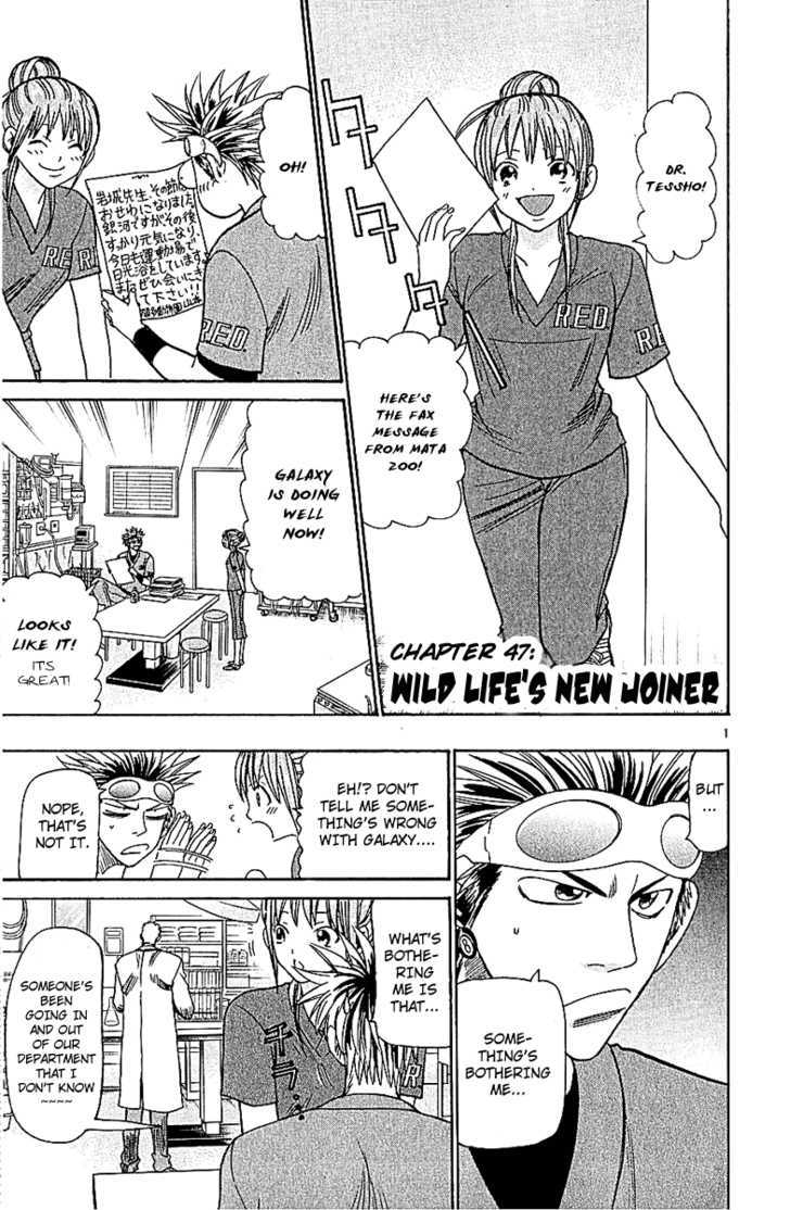 Wild Life Chapter 47 page 3 - Chapter 47 : Wild Life's New Joiner