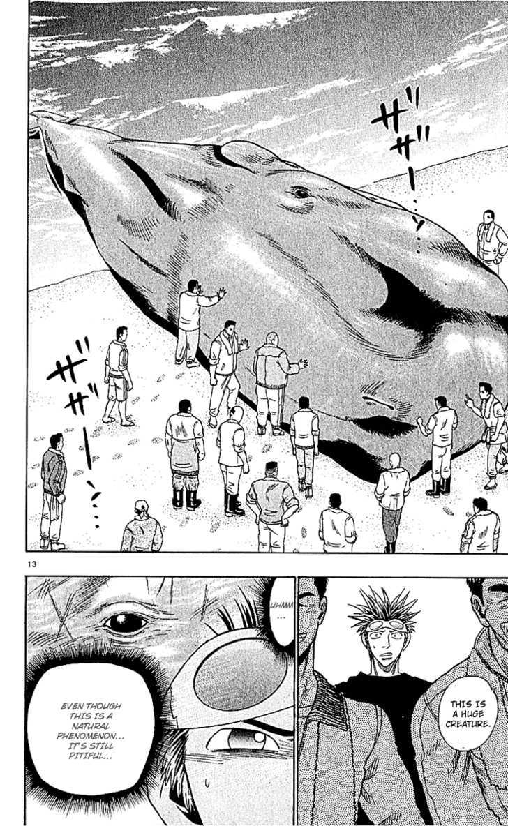 Wild Life Chapter 49 page 14 - Chapter 49 : Ashore Whales