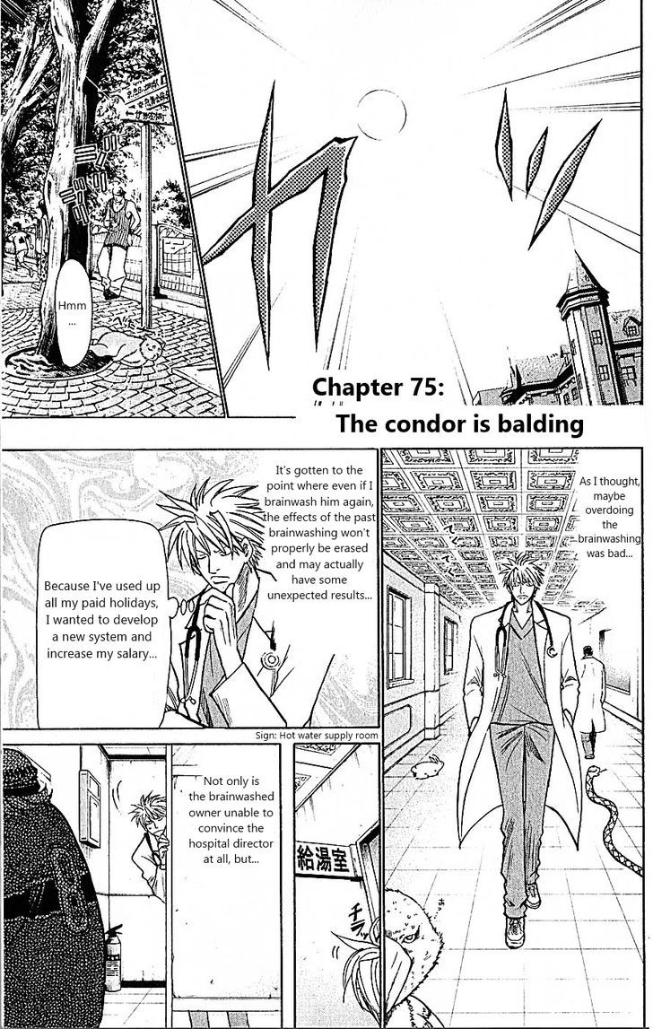 Wild Life Chapter 75 page 1 - Chapter 75 : The condor is balding