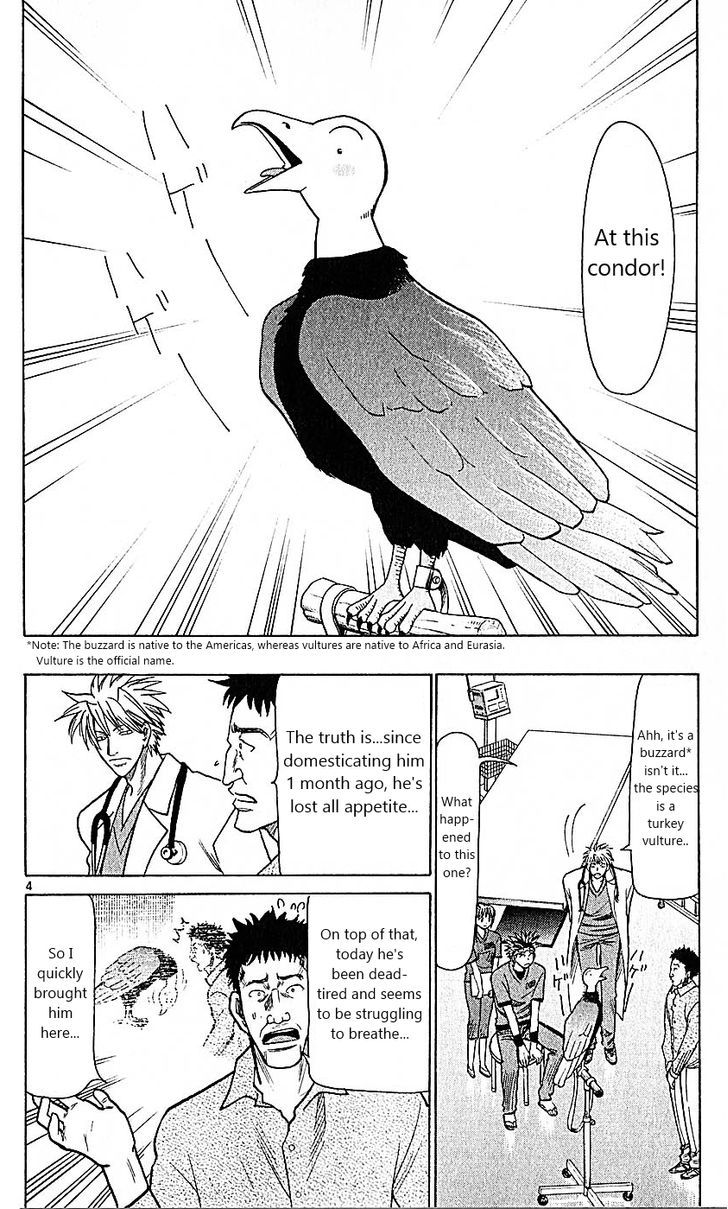Wild Life Chapter 75 page 4 - Chapter 75 : The condor is balding