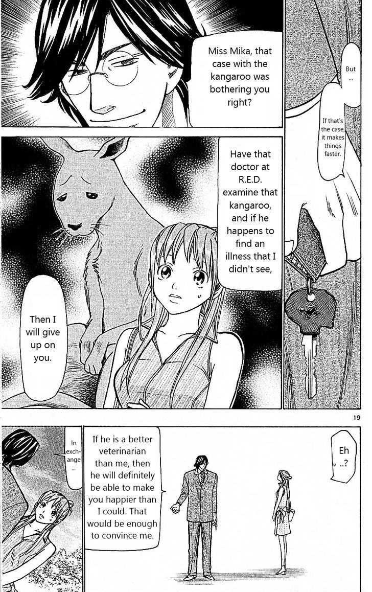 Wild Life Chapter 76 page 19 - Chapter 76 : How did it come to that?