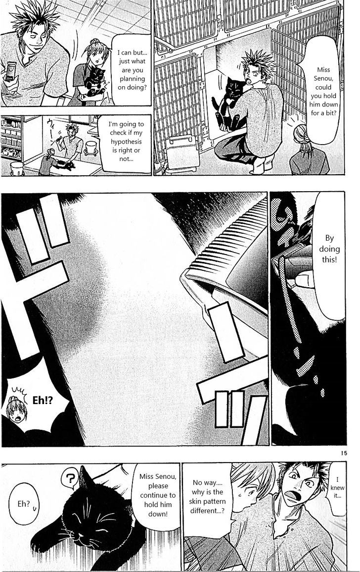 Wild Life Chapter 81 page 15 - Chapter 81 : Nero's secret