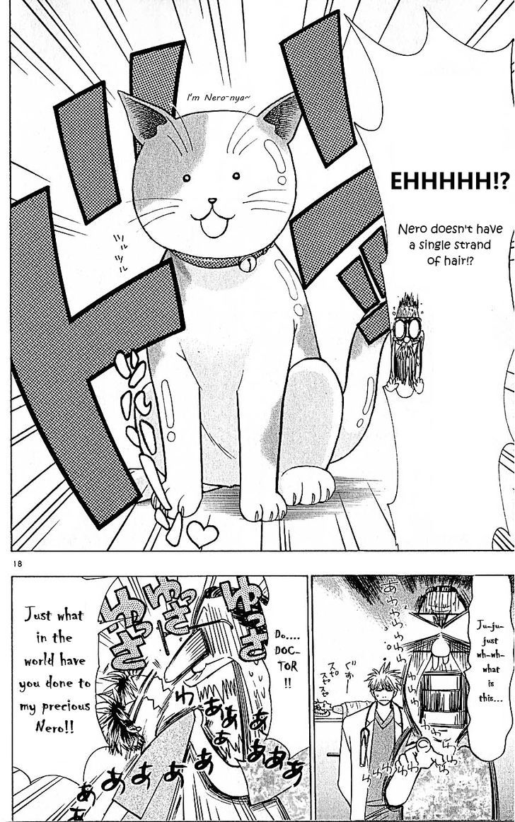 Wild Life Chapter 81 page 18 - Chapter 81 : Nero's secret