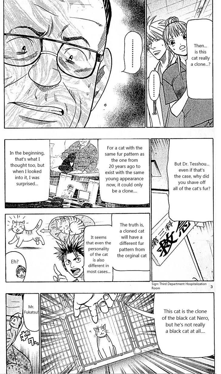 Wild Life Chapter 82 page 3 - Chapter 82 : If a ton of them existed