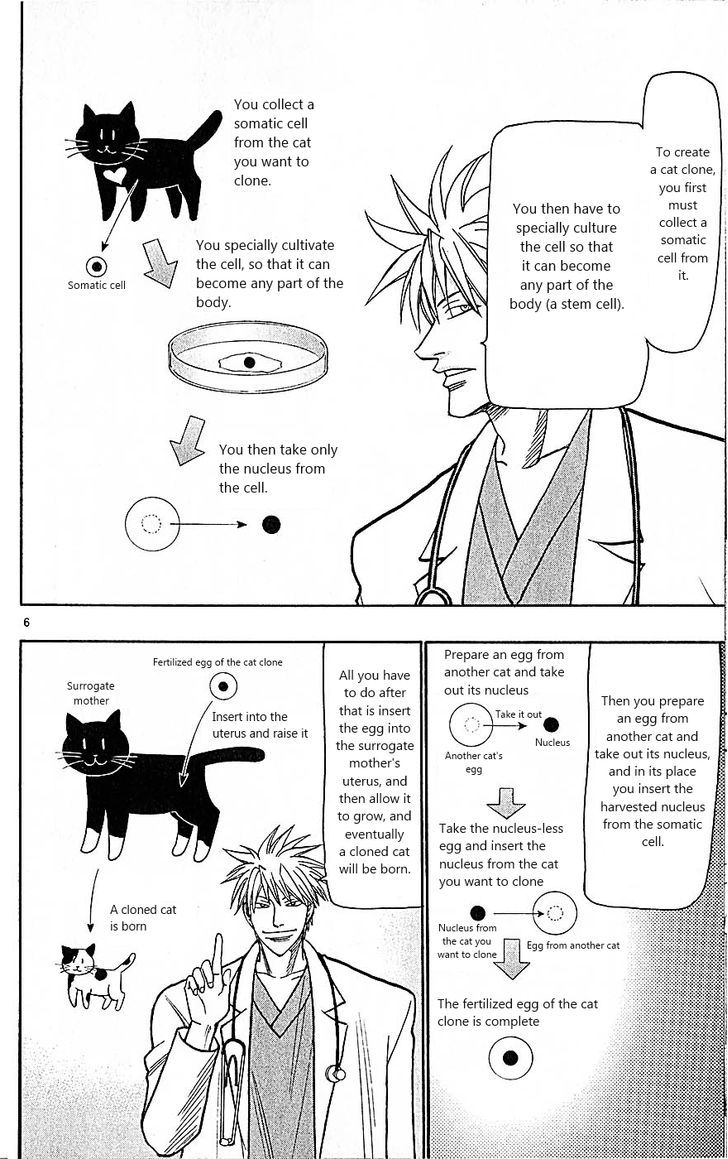 Wild Life Chapter 82 page 6 - Chapter 82 : If a ton of them existed