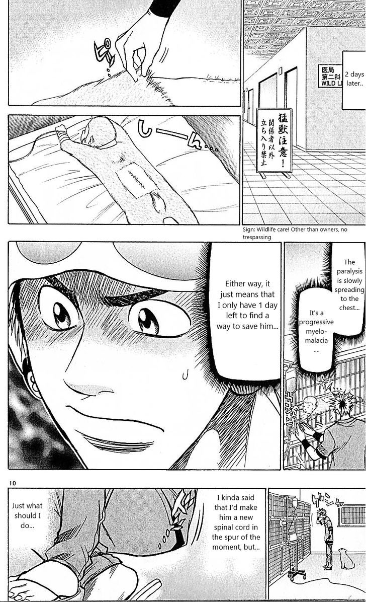 Wild Life Chapter 85 page 10 - Chapter 85 : The ultimate doctor