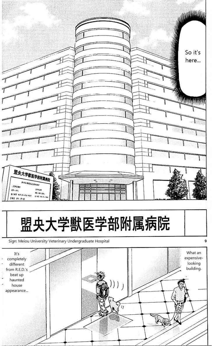 Wild Life Chapter 87 page 13 - Chapter 87 : A new development?