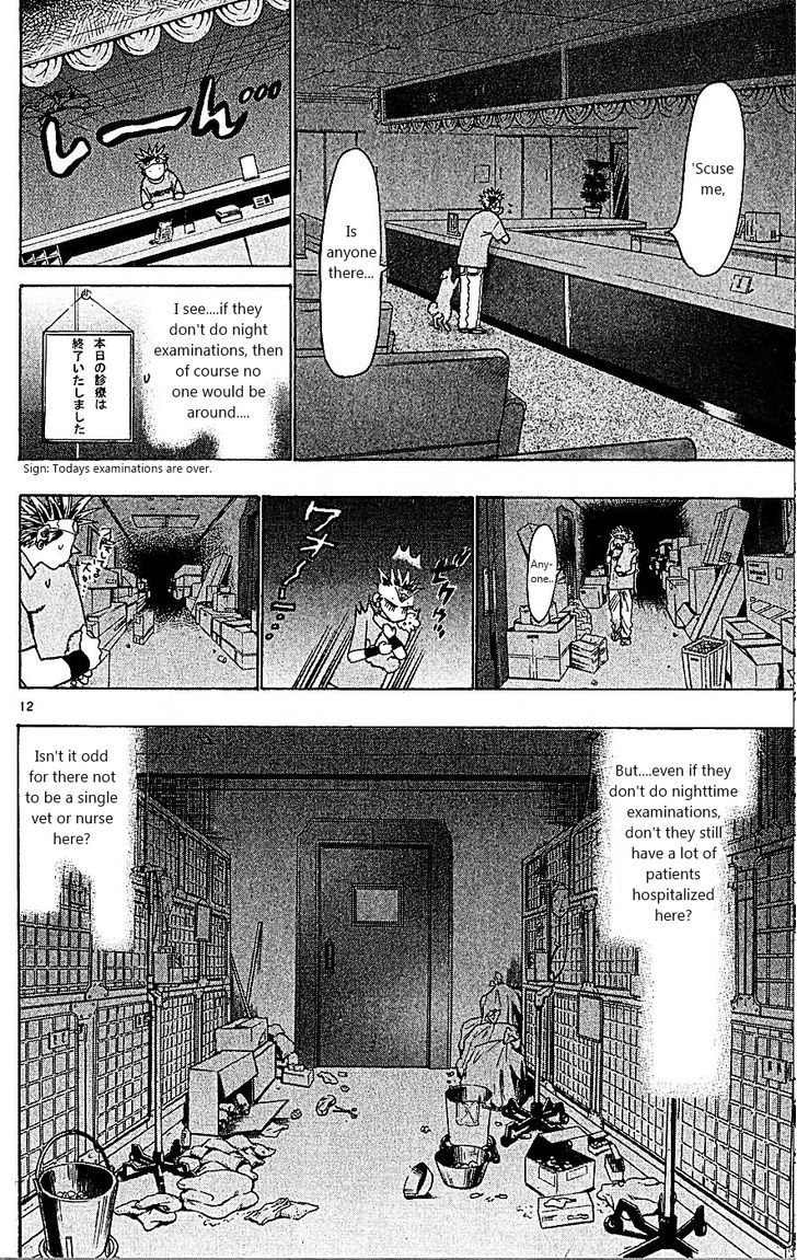 Wild Life Chapter 88 page 12 - Chapter 88 : King's game!!