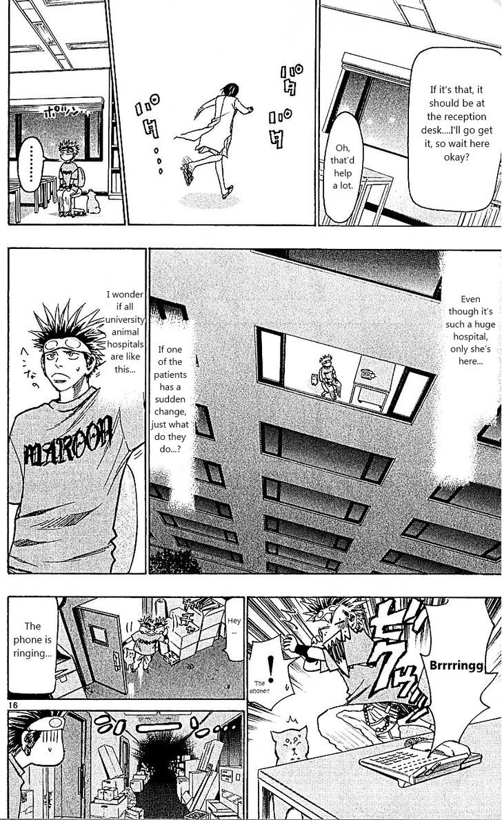 Wild Life Chapter 88 page 16 - Chapter 88 : King's game!!