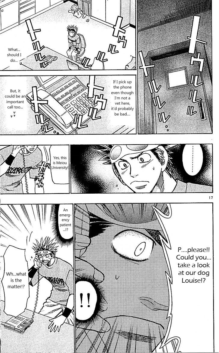 Wild Life Chapter 88 page 17 - Chapter 88 : King's game!!