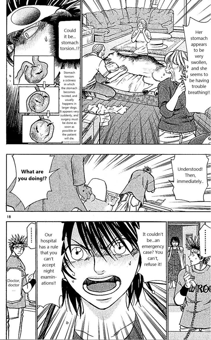 Wild Life Chapter 88 page 18 - Chapter 88 : King's game!!