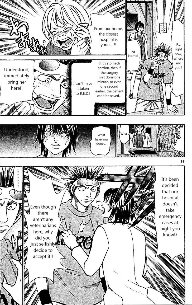 Wild Life Chapter 88 page 19 - Chapter 88 : King's game!!