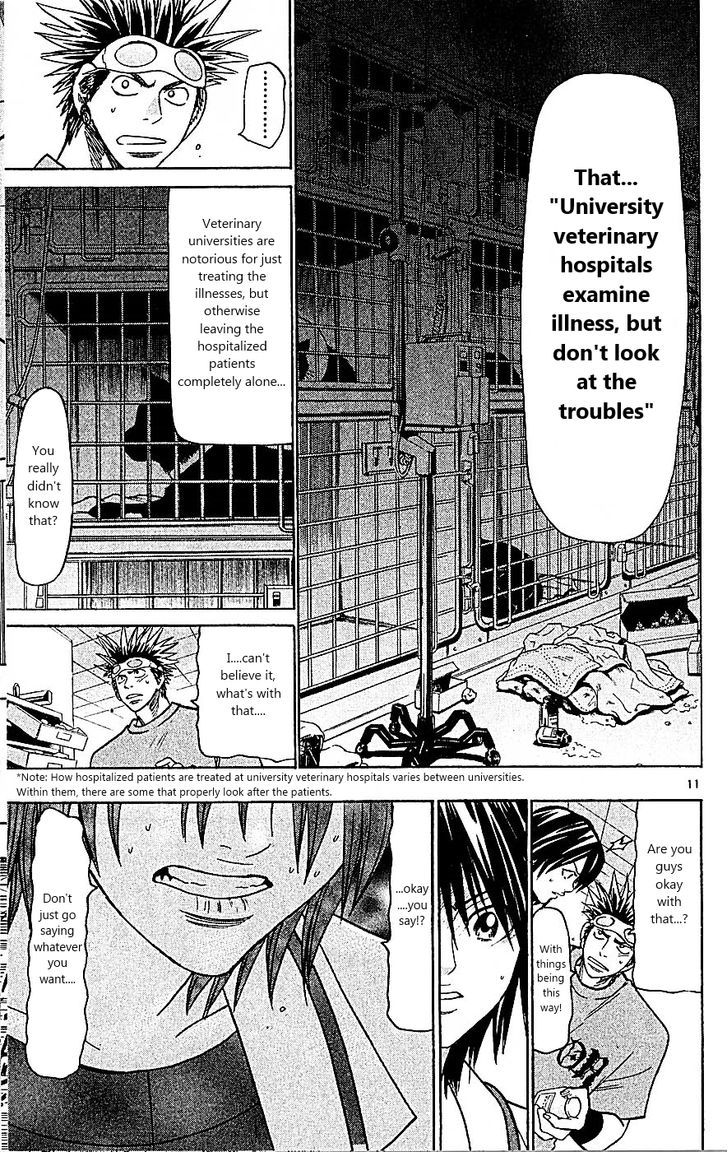 Wild Life Chapter 89 page 11 - Chapter 89 : Meiou University's Night
