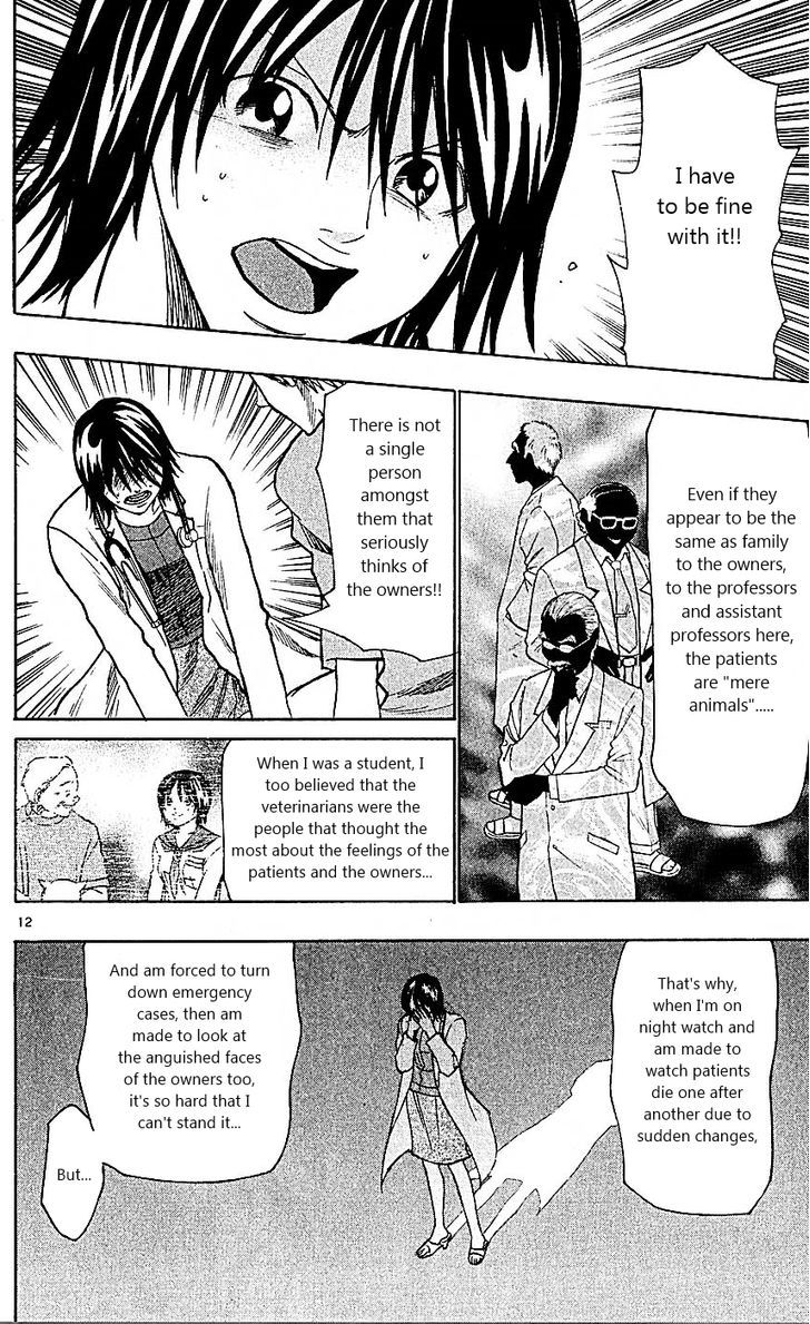 Wild Life Chapter 89 page 12 - Chapter 89 : Meiou University's Night
