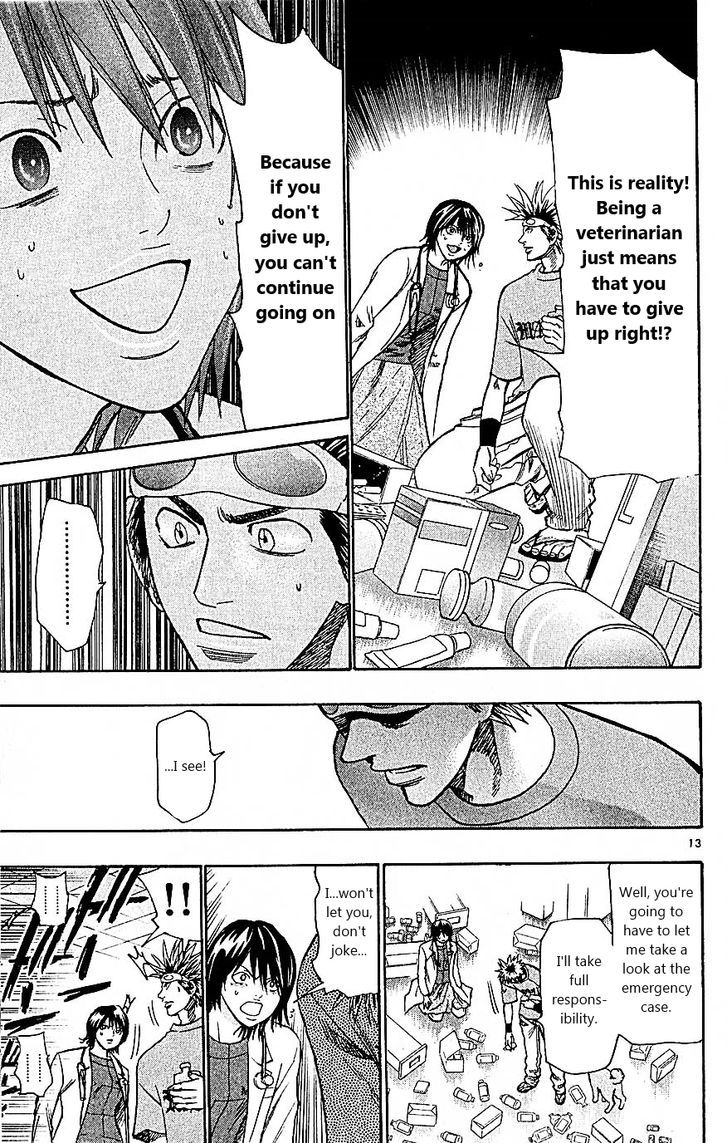 Wild Life Chapter 89 page 13 - Chapter 89 : Meiou University's Night