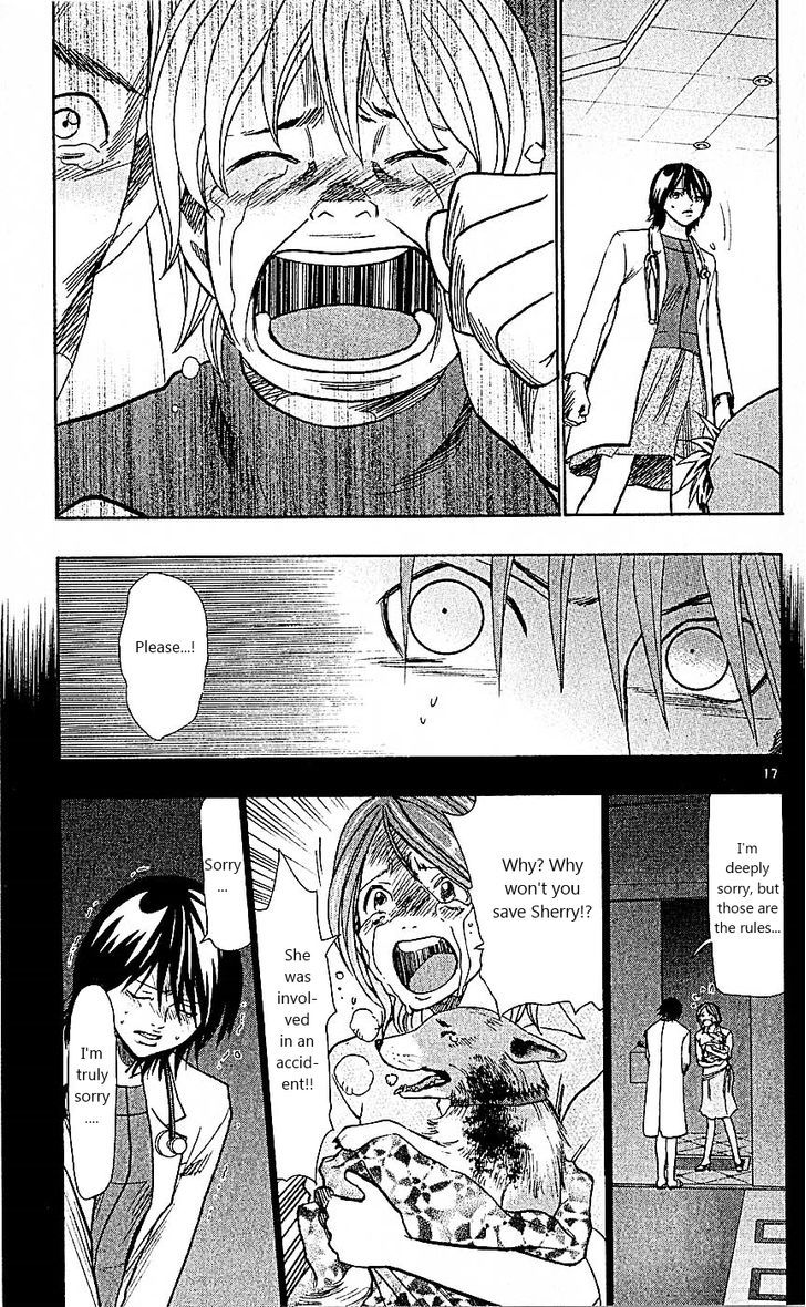 Wild Life Chapter 89 page 17 - Chapter 89 : Meiou University's Night
