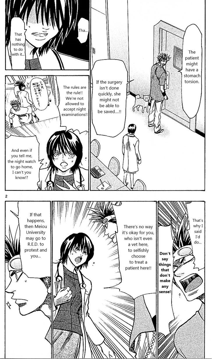 Wild Life Chapter 89 page 2 - Chapter 89 : Meiou University's Night