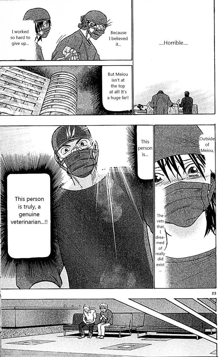 Wild Life Chapter 90 page 22 - Chapter 90 : Mizuki's "first"