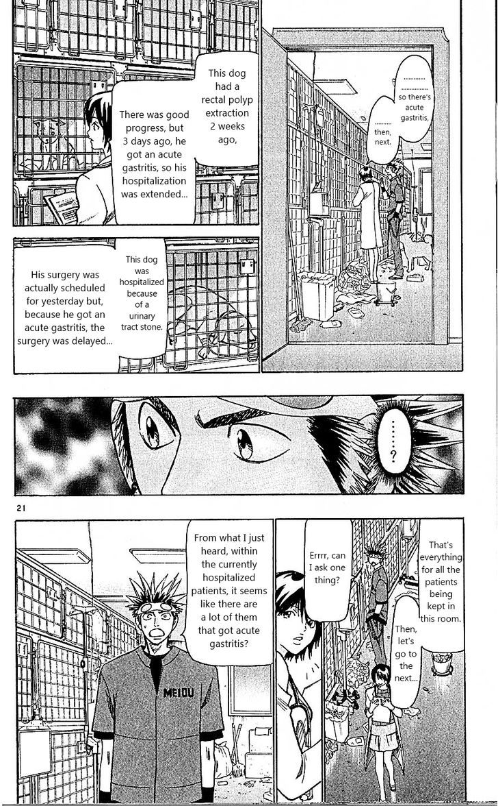 Wild Life Chapter 95 page 21 - Chapter 95 : Dog's crisis