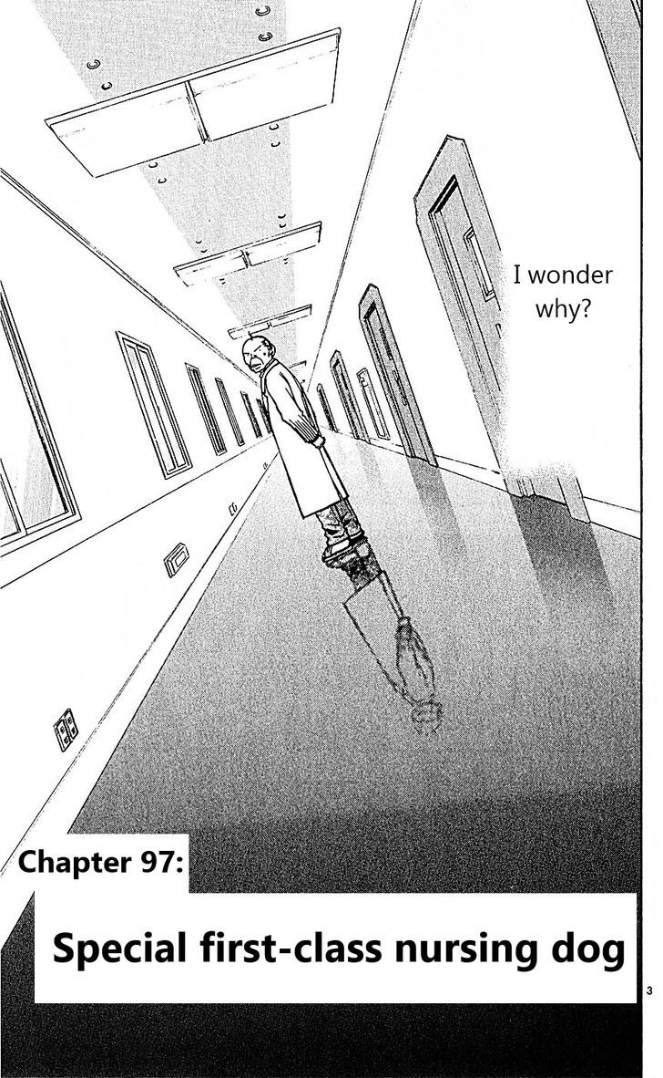 Wild Life Chapter 97 page 3 - Chapter 97 : Special first-class nursing dog