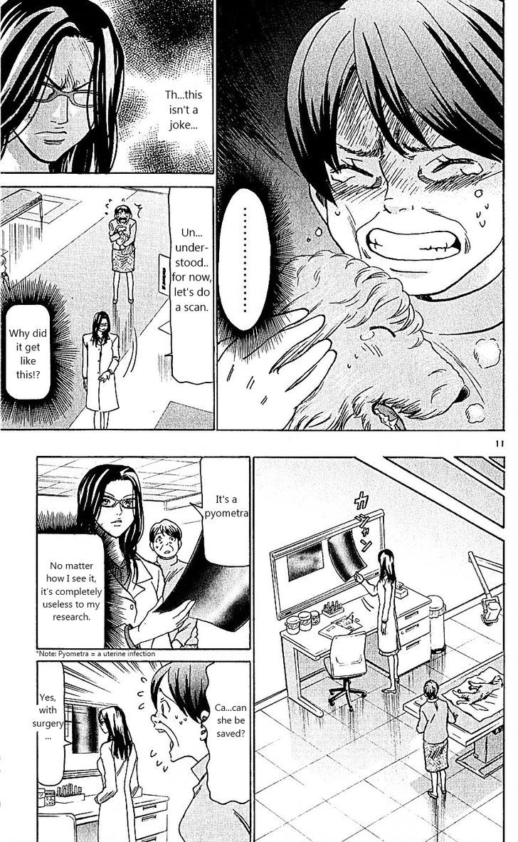 Wild Life Chapter 99 page 11 - Chapter 99 : And Tesshou Still didn't Know