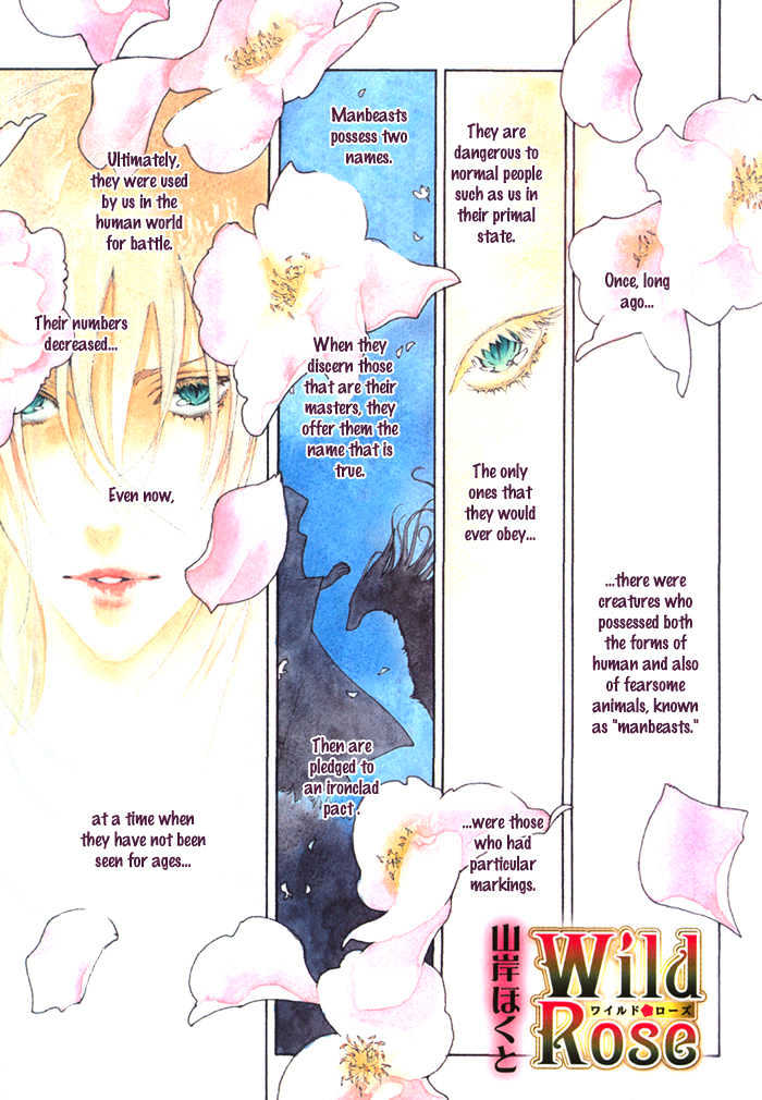 Wild Rose Chapter 1 page 9 - Chapter 1