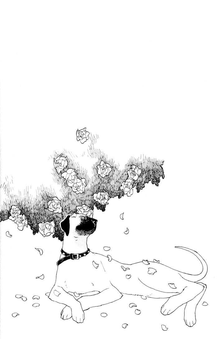 Wild Rose Chapter 2 page 34 - Chapter 2