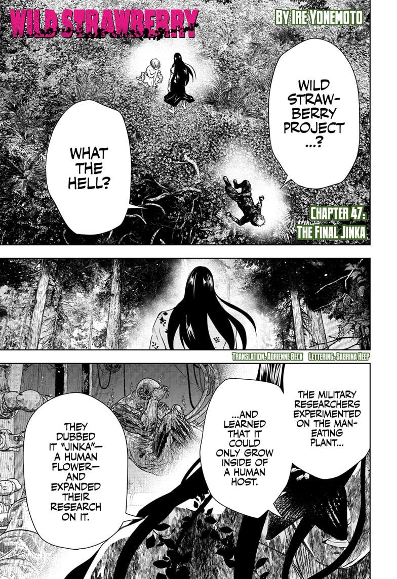 Wild Strawberry Chapter 47 page 1 - Chapter 47