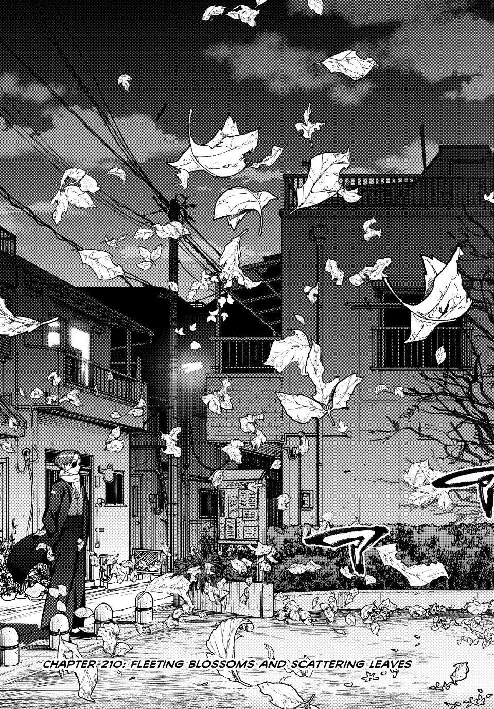 Wind Breaker (NII Satoru) Chapter 210 page 3 - Chapter 210