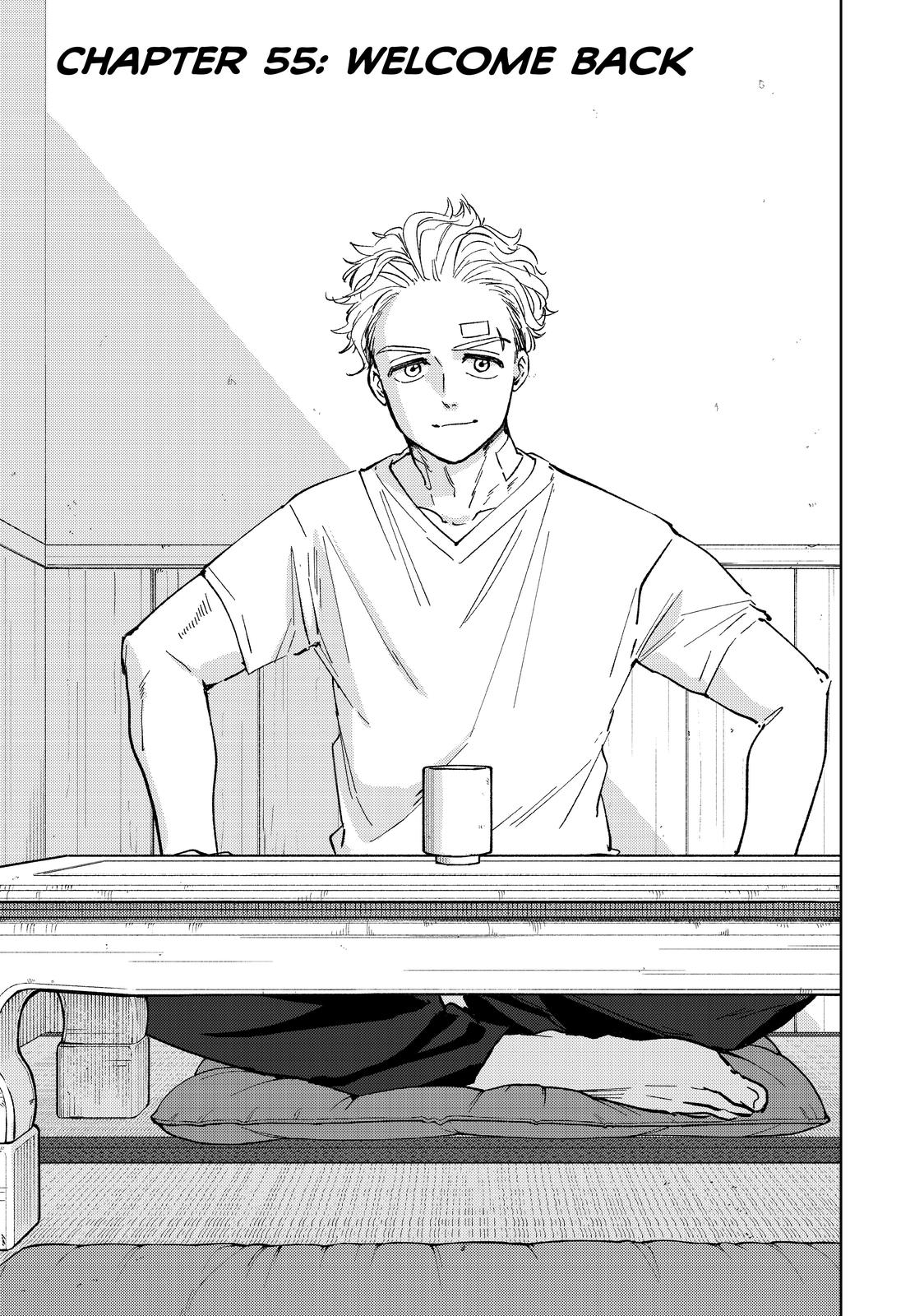 Wind Breaker (NII Satoru) Chapter 55 page 3 - Chapter 55